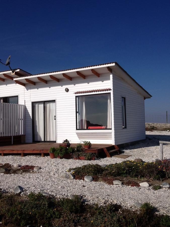 Las Hualas Punta de Choros Exterior photo