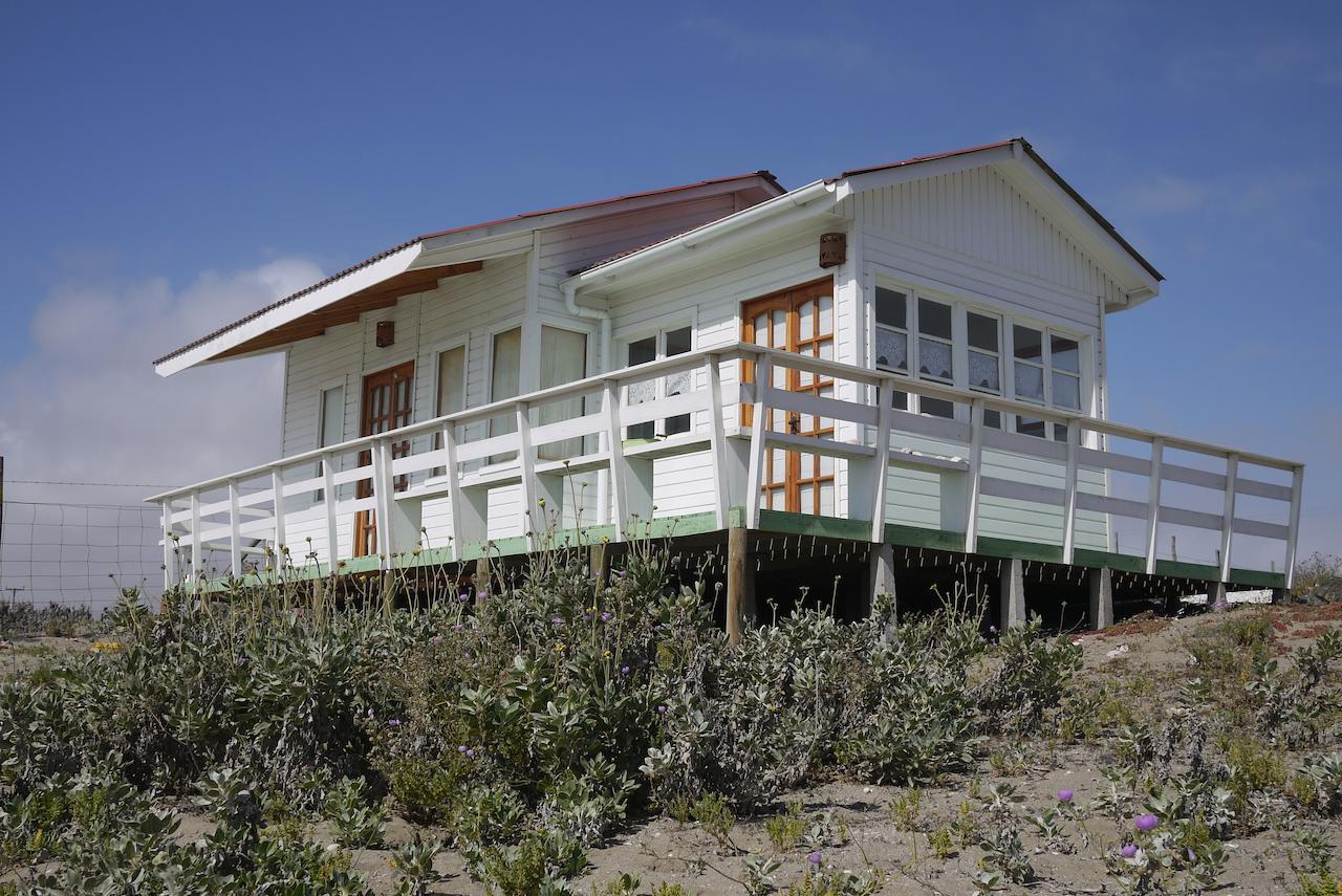 Las Hualas Punta de Choros Exterior photo