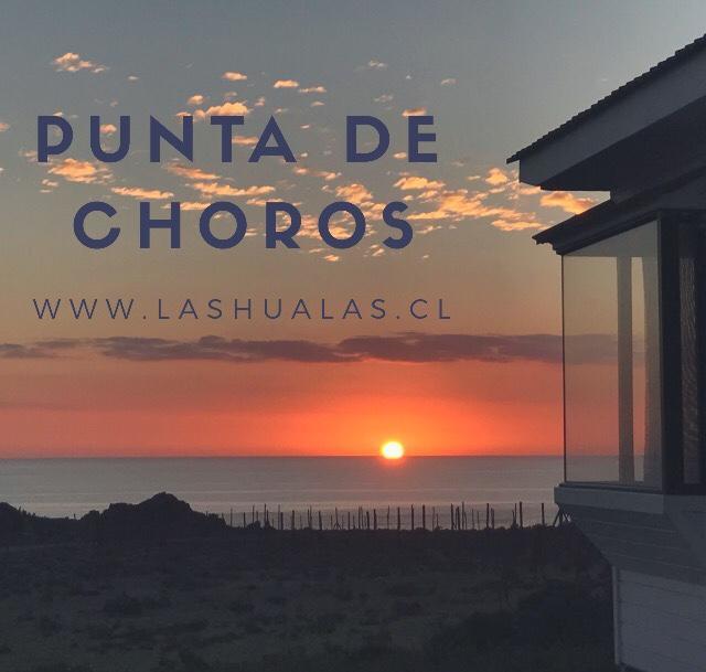 Las Hualas Punta de Choros Exterior photo