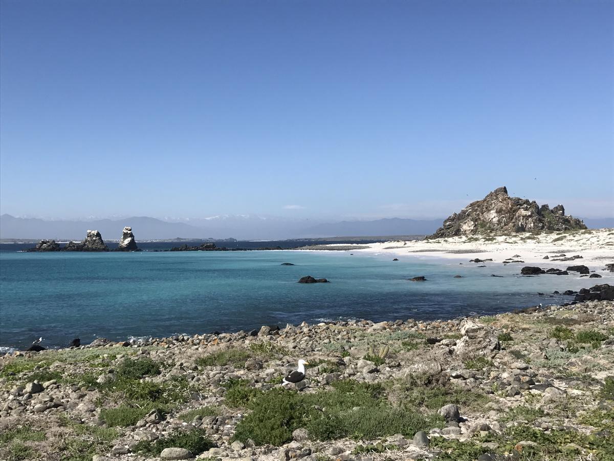 Las Hualas Punta de Choros Exterior photo