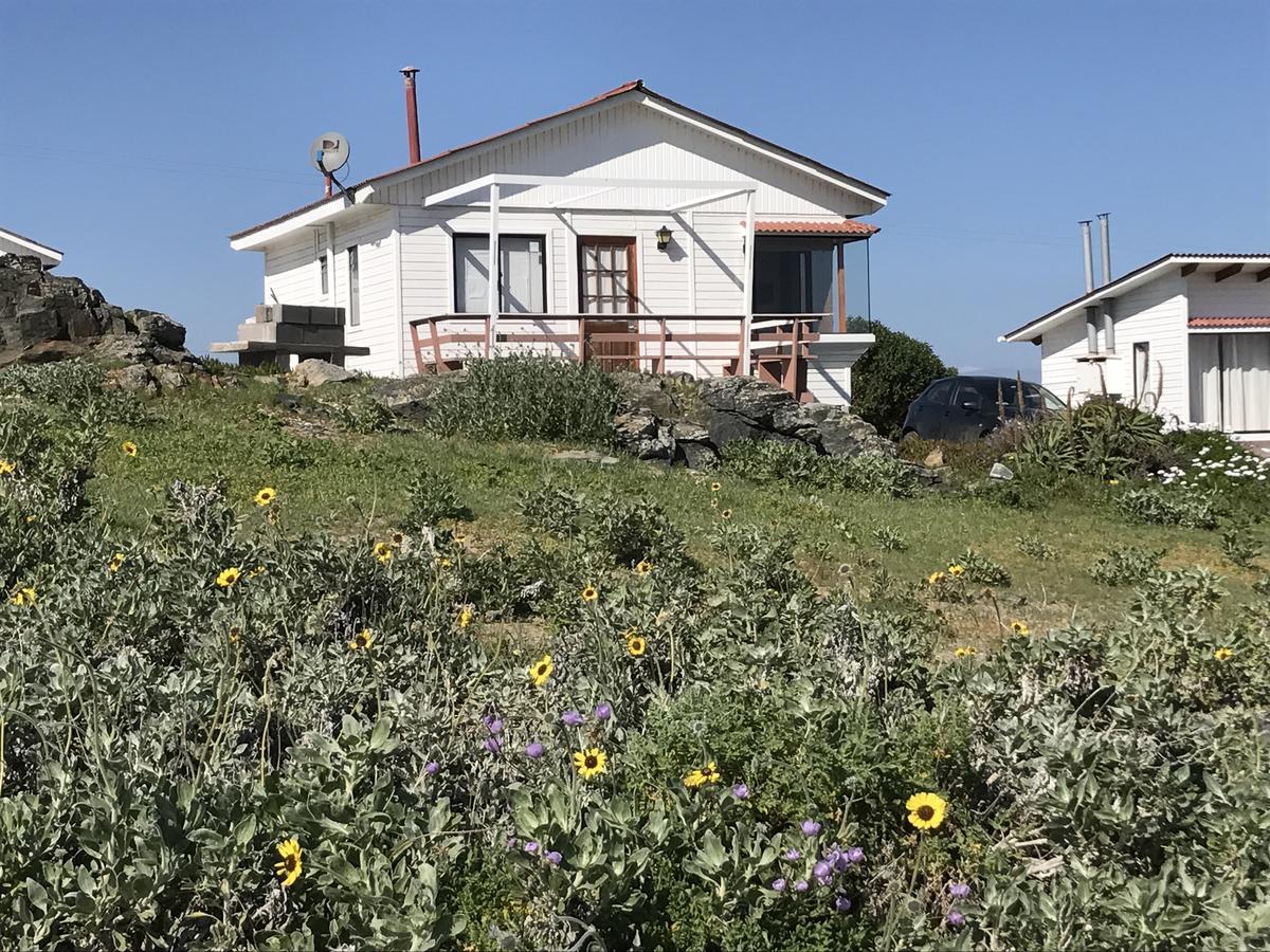 Las Hualas Punta de Choros Exterior photo